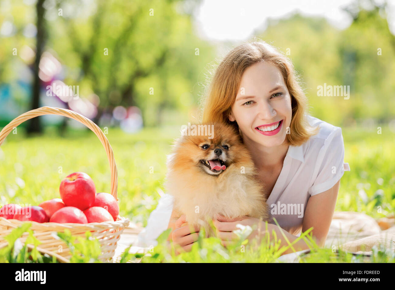 Young pretty girl in summer park with cute dog Stock Photo - Alamy