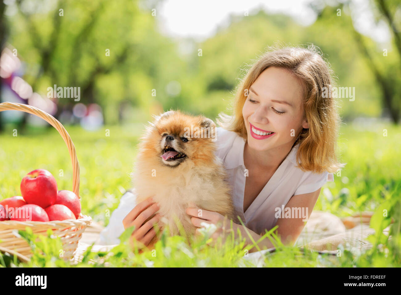 Young pretty girl in summer park with cute dog Stock Photo - Alamy