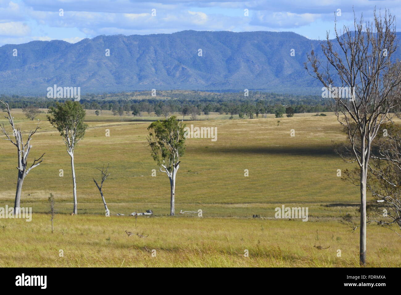 AUSTRALIAN CATTLE STATION Stock Photo Alamy