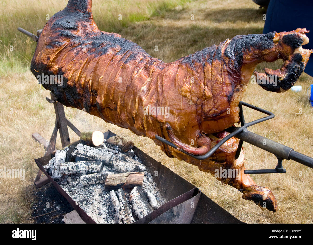 Spit roasted pig pork on a barbecue BBQ Stock Photo Alamy
