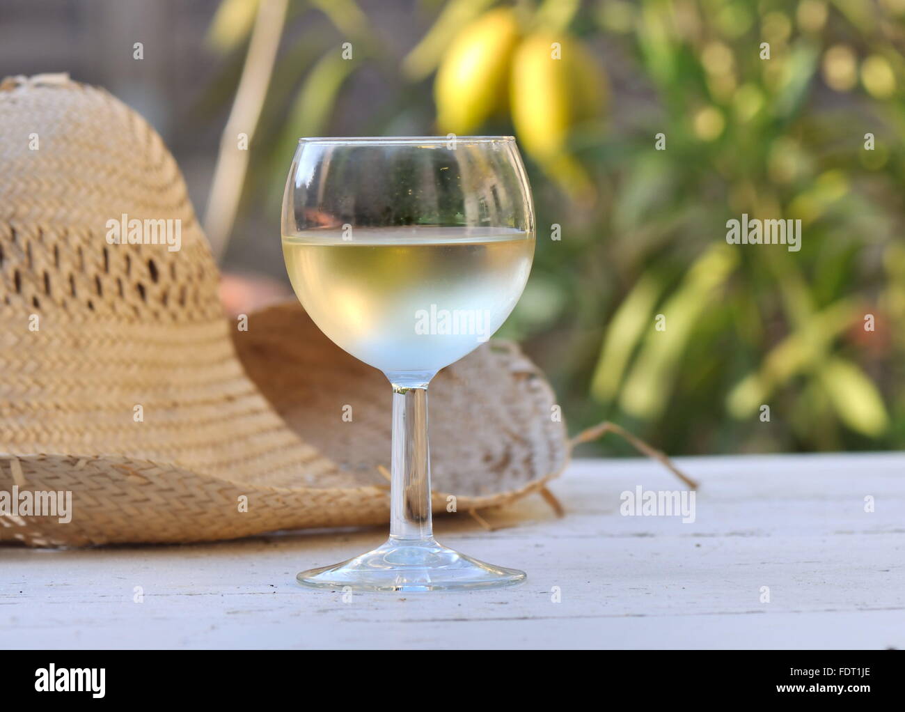 glass of wine chilled white wine on the table in a garden Stock Photo Alamy