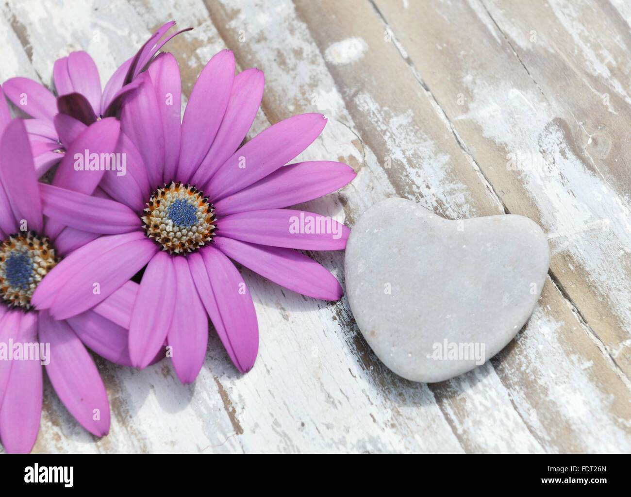 heart shaped pebble and flowers on white table Stock Photo