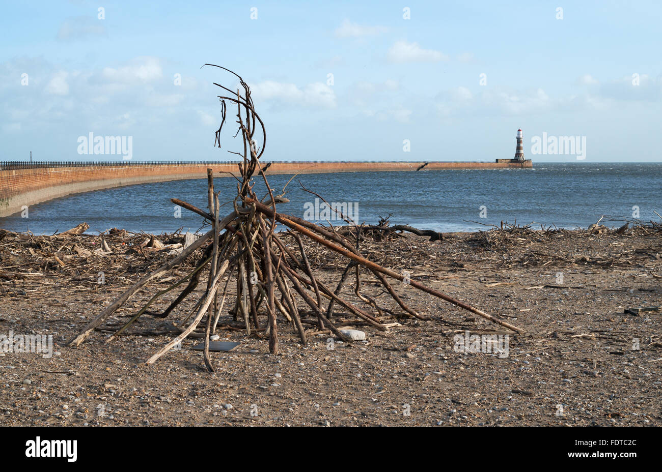 A driftwood stack on Roker beach with the south pier and lighthouse in ...