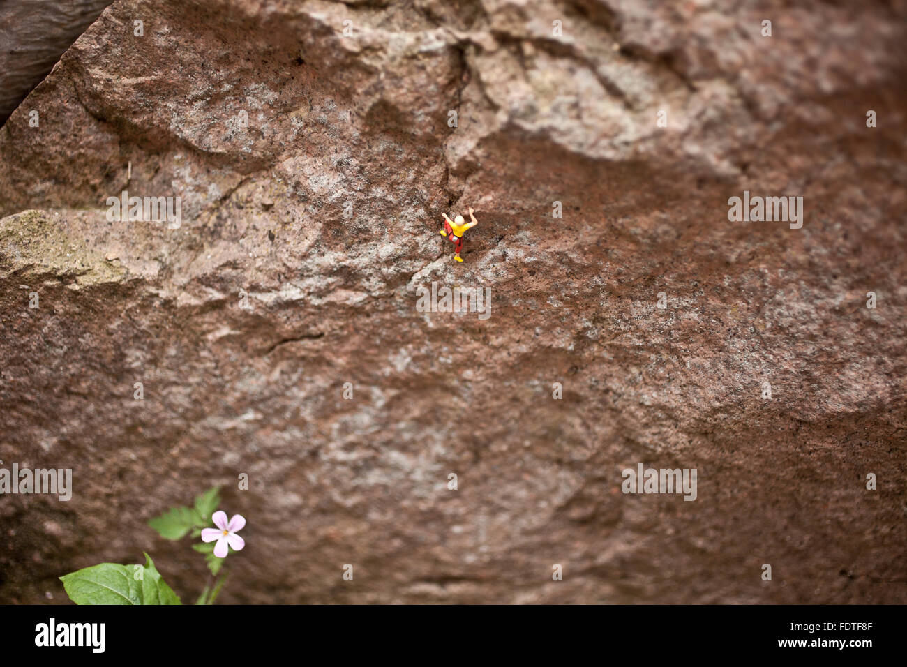 freeclimber - miniature of a climber at  a rock with a flower on the ground Stock Photo
