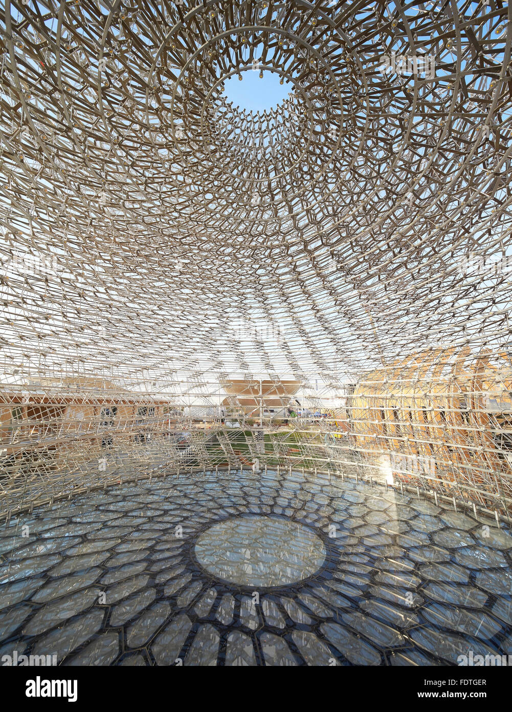 Platform below hive dome. Milan Expo 2015, UK Pavilion, Milan, Italy. Architect: Wolfgang Buttress, 2015. Stock Photo