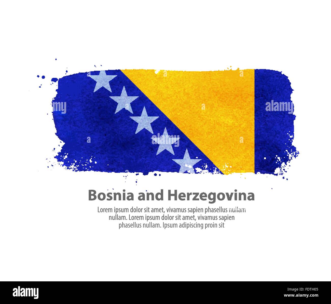 Bosnia and Herzegovina flag Stock Vector