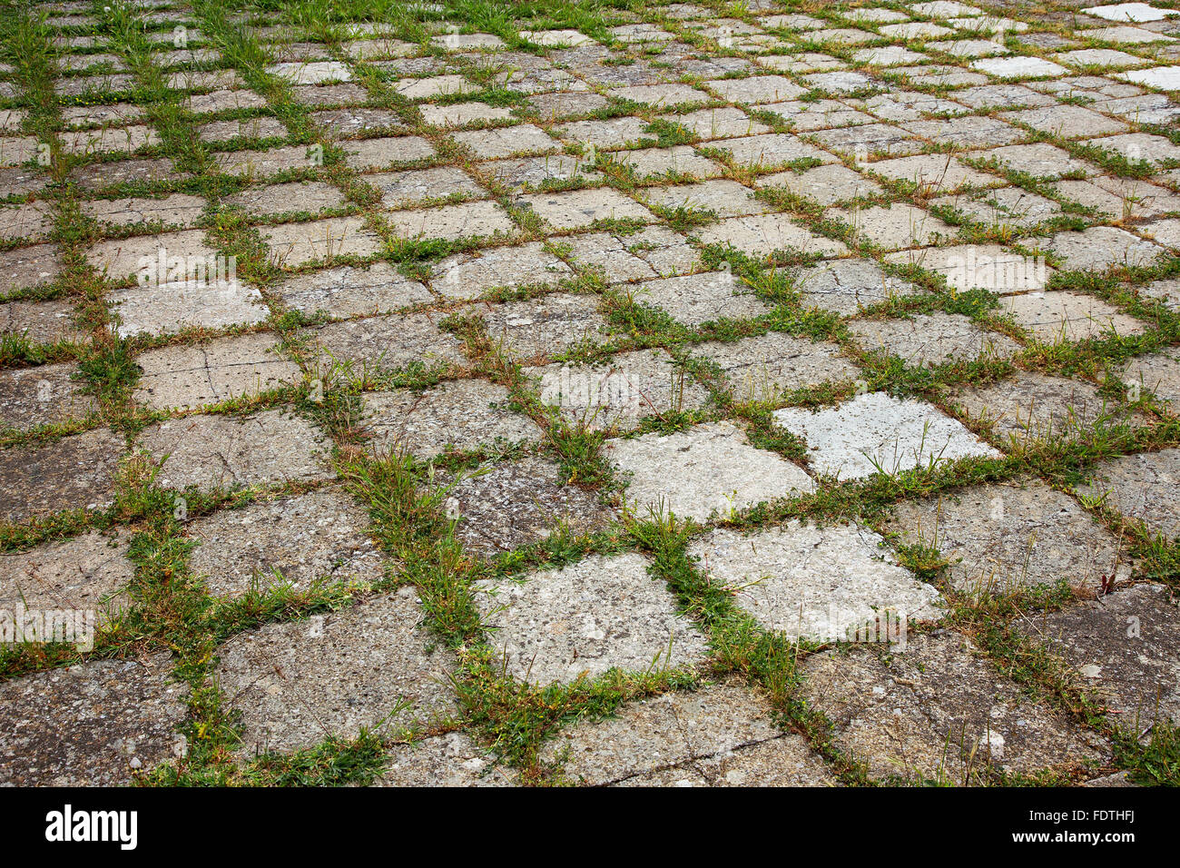 Grungy interlocking concrete pavement with grass growing along its joint for textural background