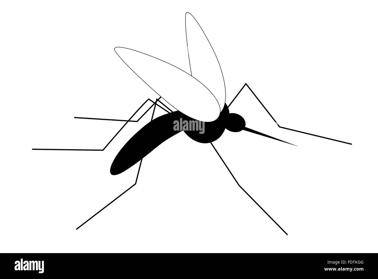 Stylized gnat on white background Stock Vector