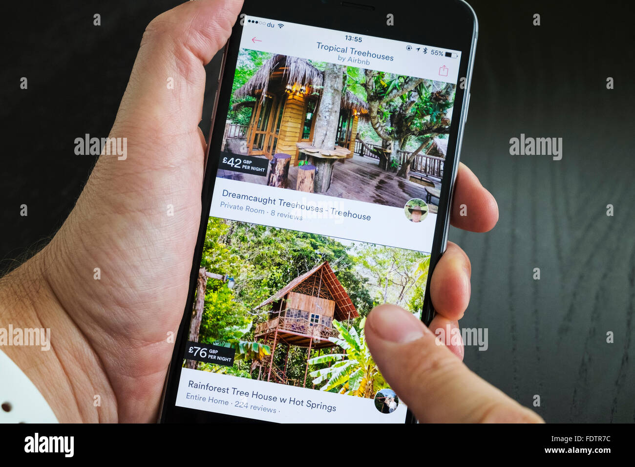 Airbnb Holiday Room Booking App Showing Tree Houses For Rent On An