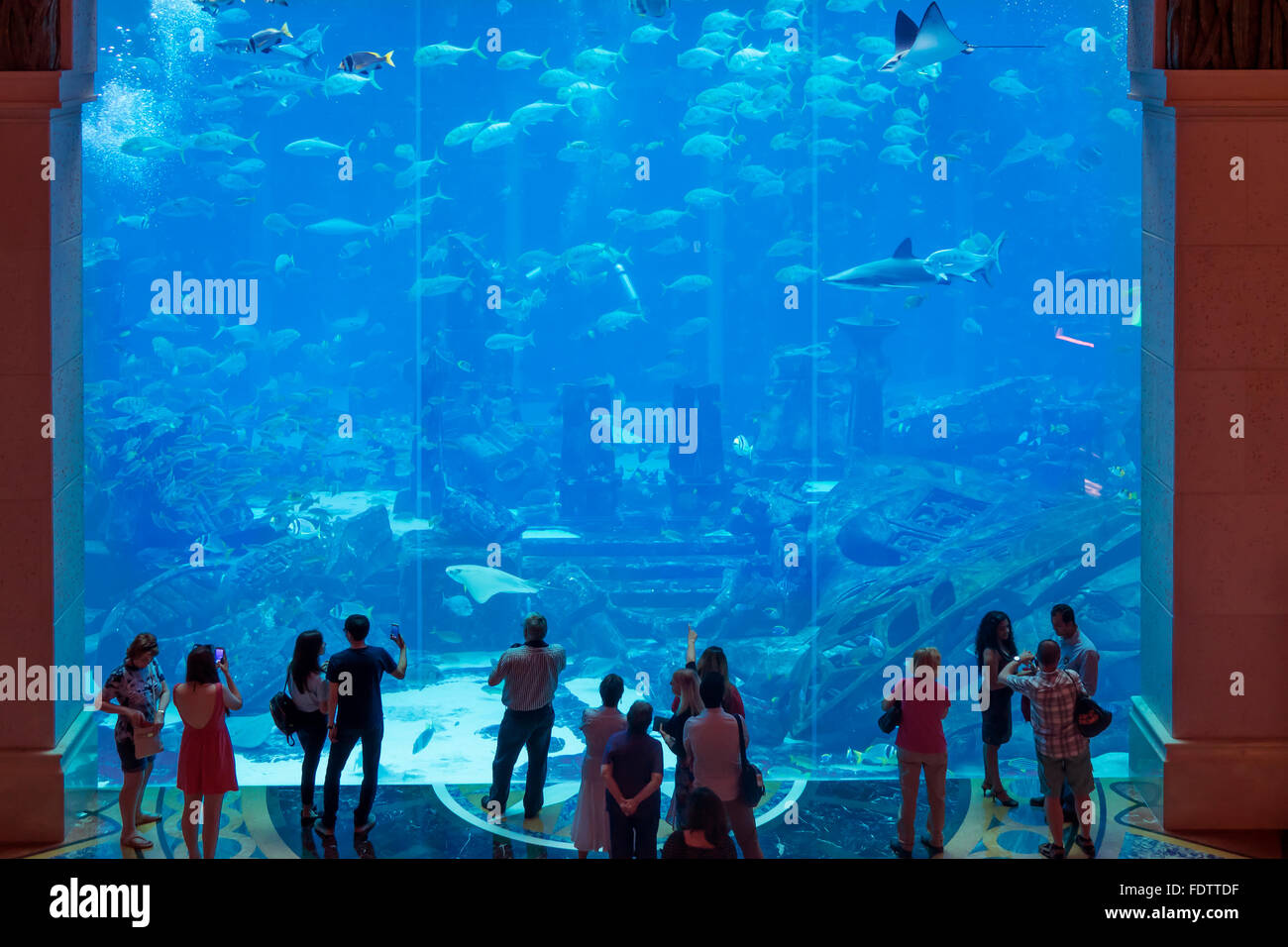 United Arab Emirates, Dubai, Atlantis Palm hotel, aquarium Stock Photo