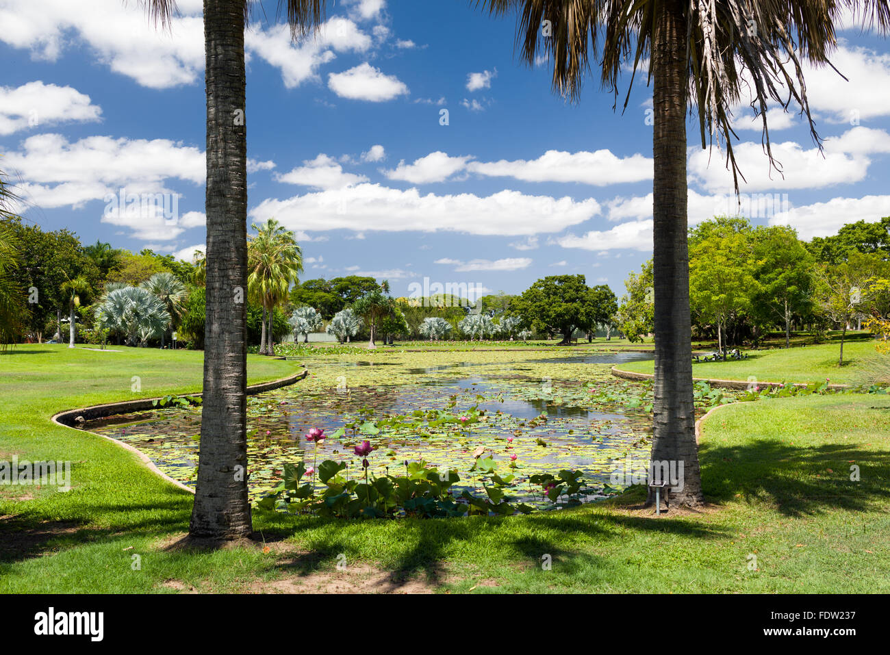 Anderson Park Botanical Garden Queensland Stock Photo
