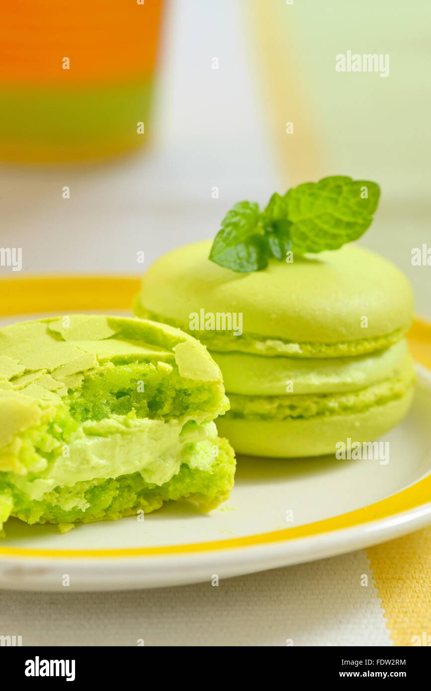 Green macaroon with fresh mint leaves Stock Photo