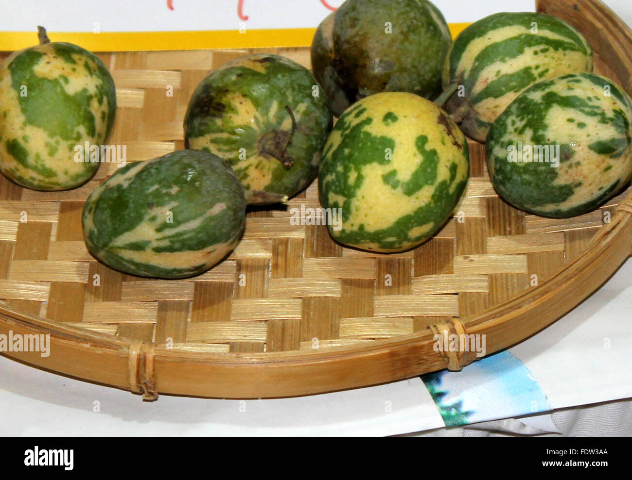 Mangifera indica, variegated mango, family Anacardiaceae, fruit