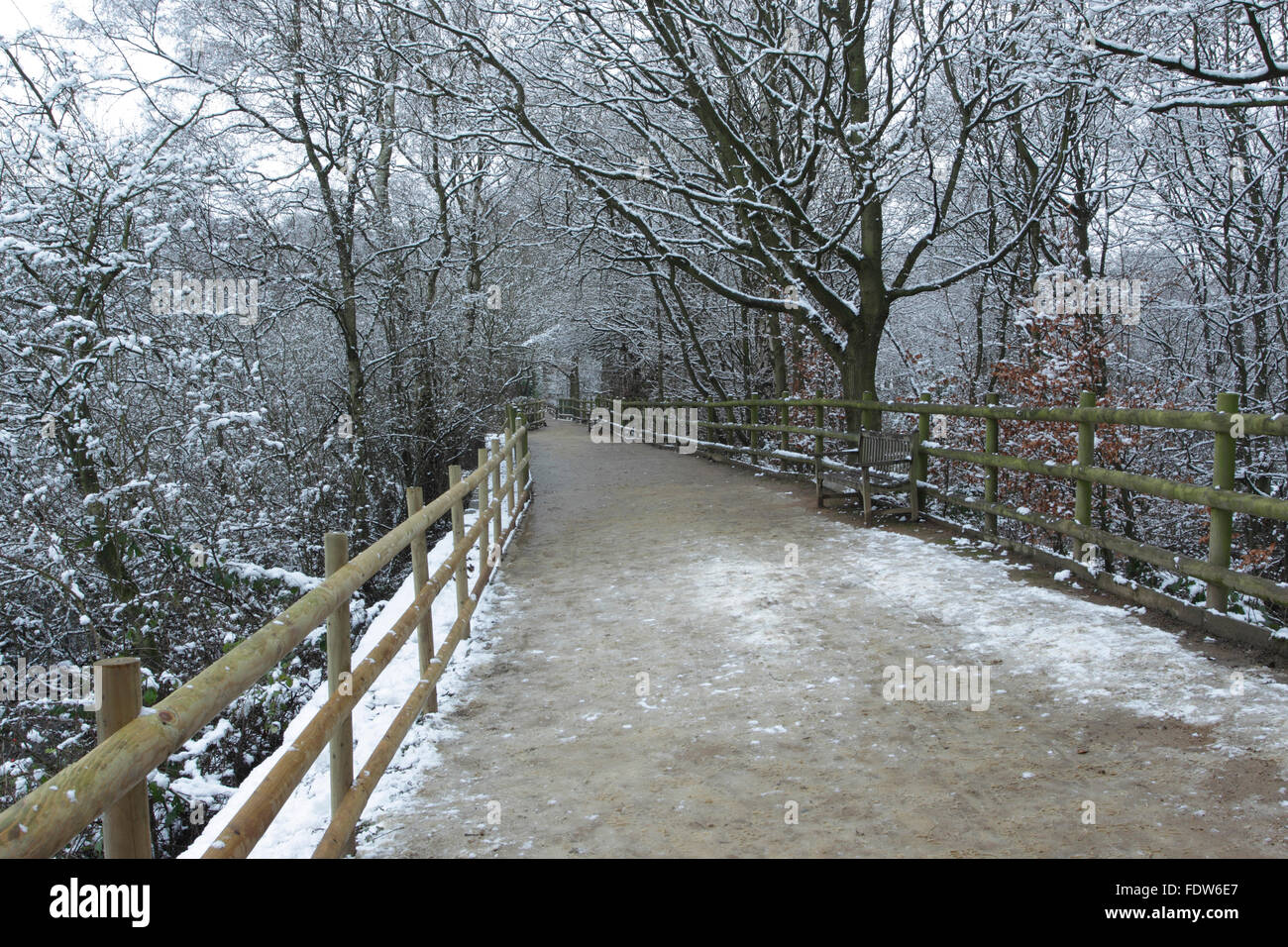 Golden Acre Park High Resolution Stock Photography and Images - Alamy