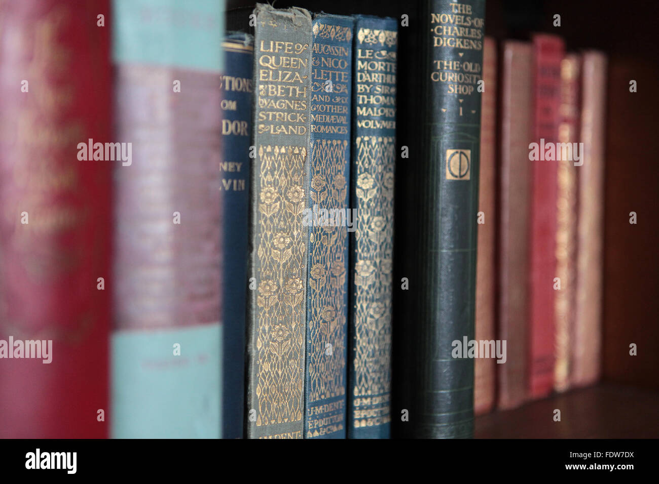 Old, vintage, colourful books on book shelf Stock Photo