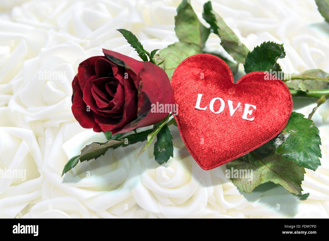 Heart shaped and red roses background for love and valentines day Stock ...