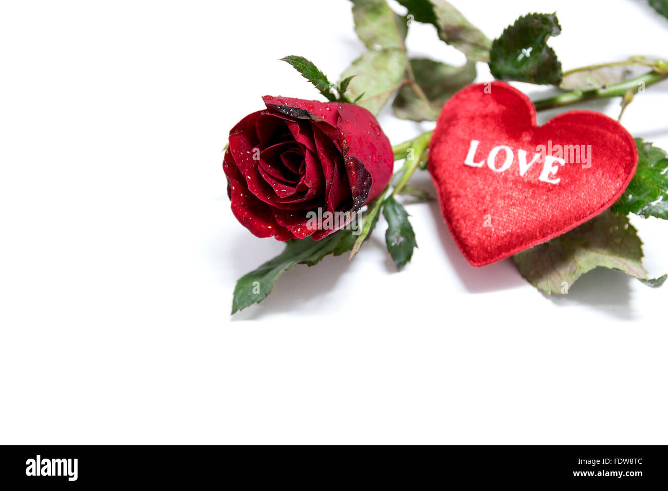 Heart shaped and red roses background for love and valentines day Stock ...