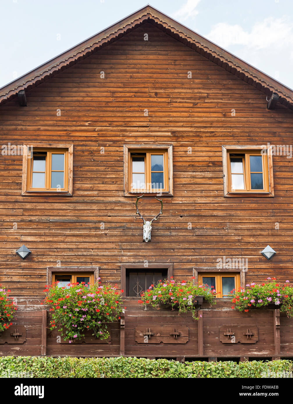 old wooden house with a skull and horns of a deer on the wall outdoor Stock Photo