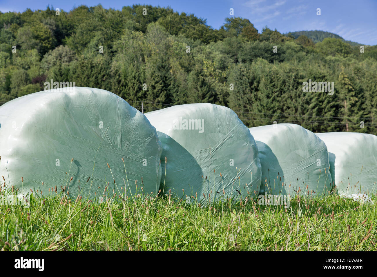 Wrapped bale hi-res stock photography and images - Alamy