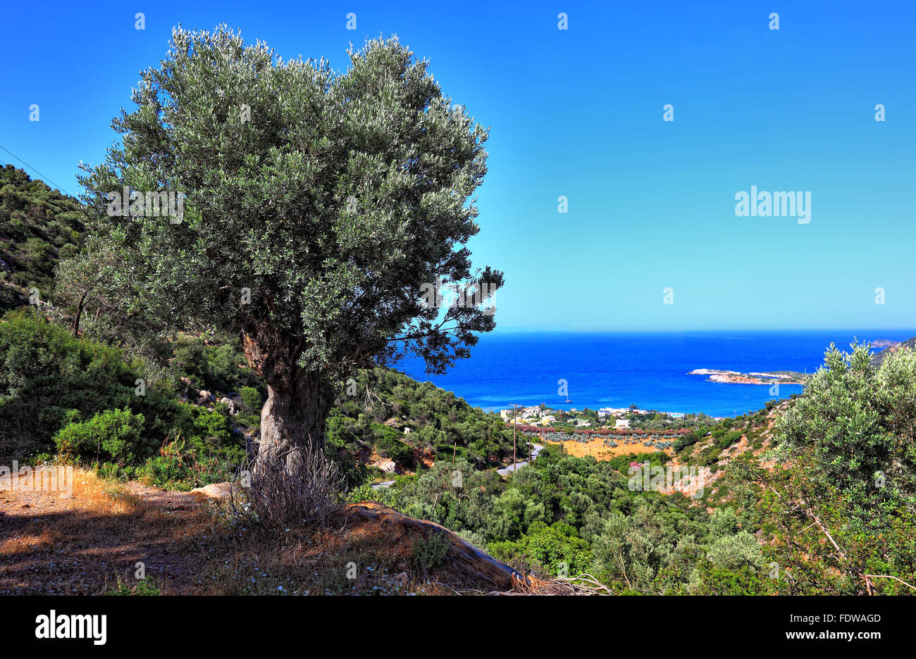 Crete, bay close to city of Bali and look at the sea Stock Photo