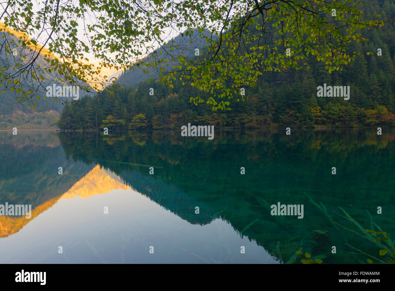 Mirror Lake, Jiuzhaigou National Park, Sichuan Province, China, Unesco World Heritage Site Stock Photo