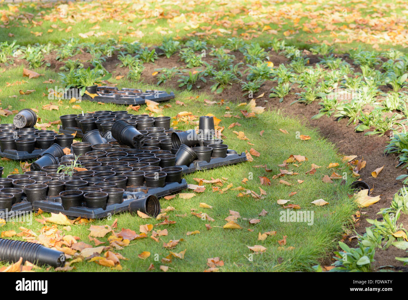 Black plastic garden pots hi-res stock photography and images - Alamy