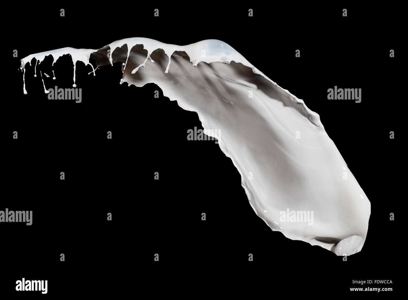 White milk splash isolated on black background Stock Photo - Alamy