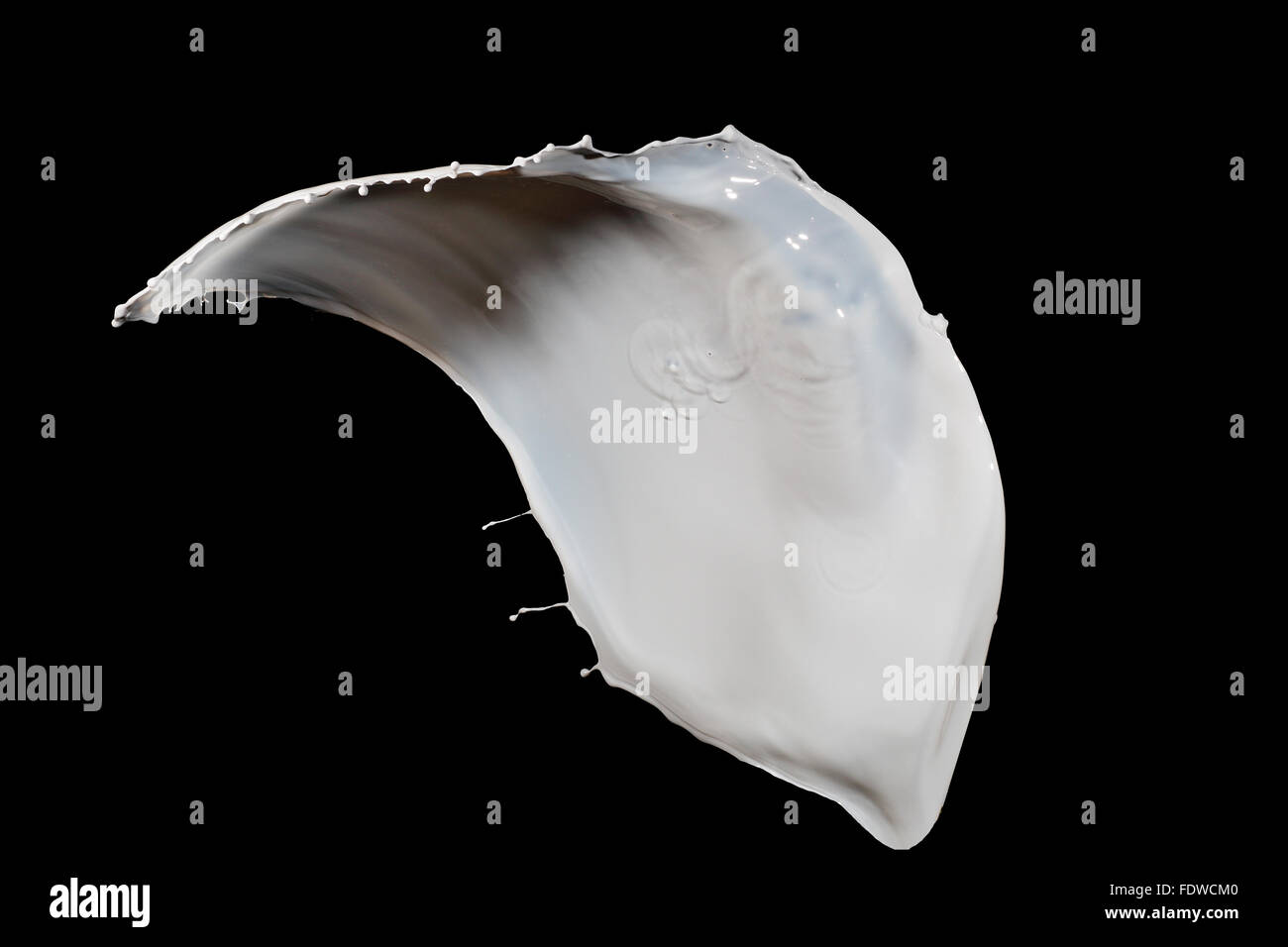 White milk splash isolated on black background Stock Photo - Alamy