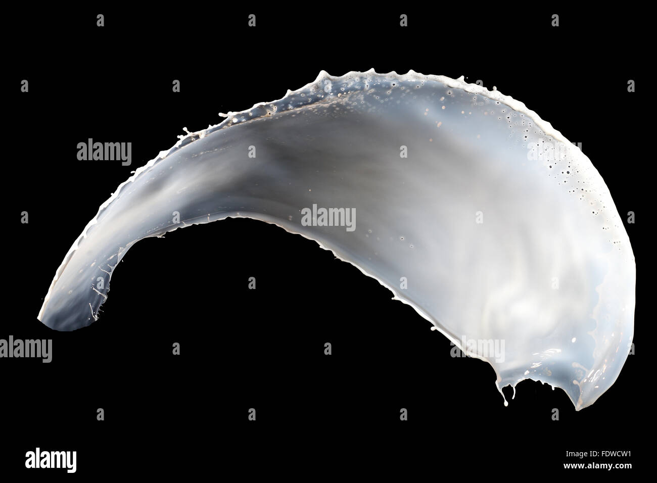 White milk splash isolated on black background Stock Photo - Alamy