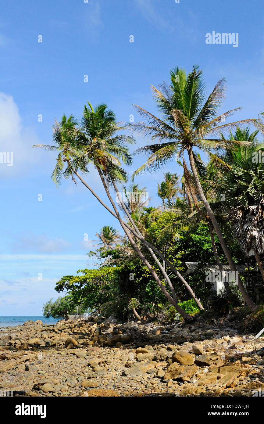haad salad beach at low tide, koh phangan, Thailand Stock Photo Alamy