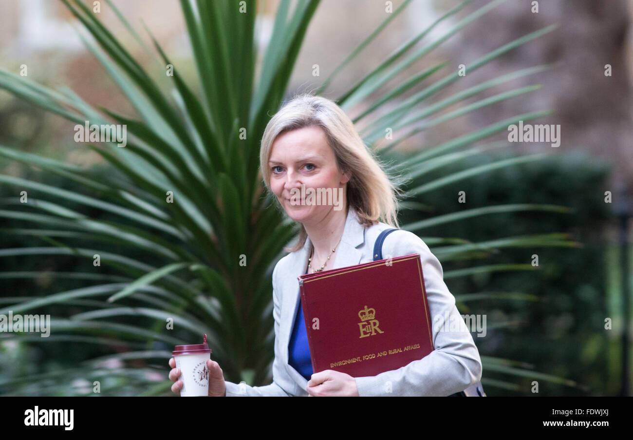Liz Truss,secretary of State for environment,food and rural affairs arrives at number 10 Downing Street for a cabinet meeting Stock Photo