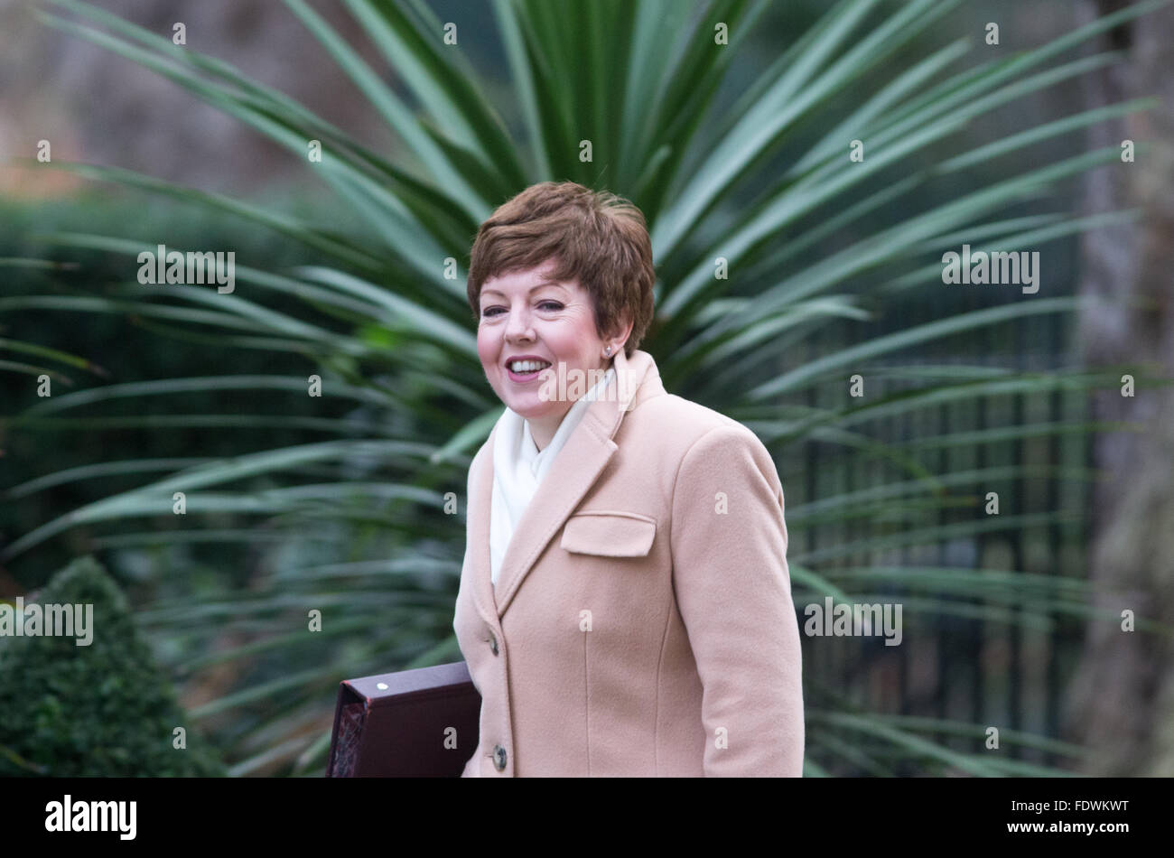 Tina Stowell,Baroness Stowell of Beeston,arrives at number 10 Downing Street.Baronnes Stowell is Leader of the House of Lords Stock Photo