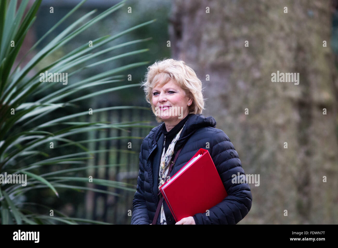 Anna Soubry,Minister for small business,Industry and Enterprise,arrives at Number 10 Downing Street for a Cabinet meeting Stock Photo