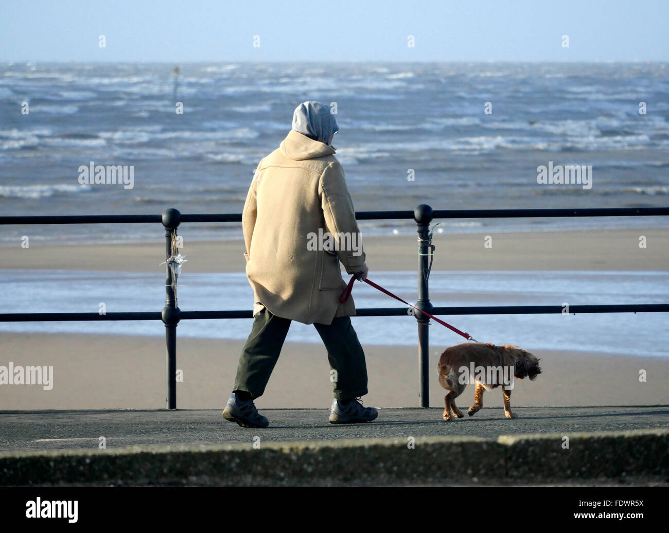 is crosby beach dog friendly