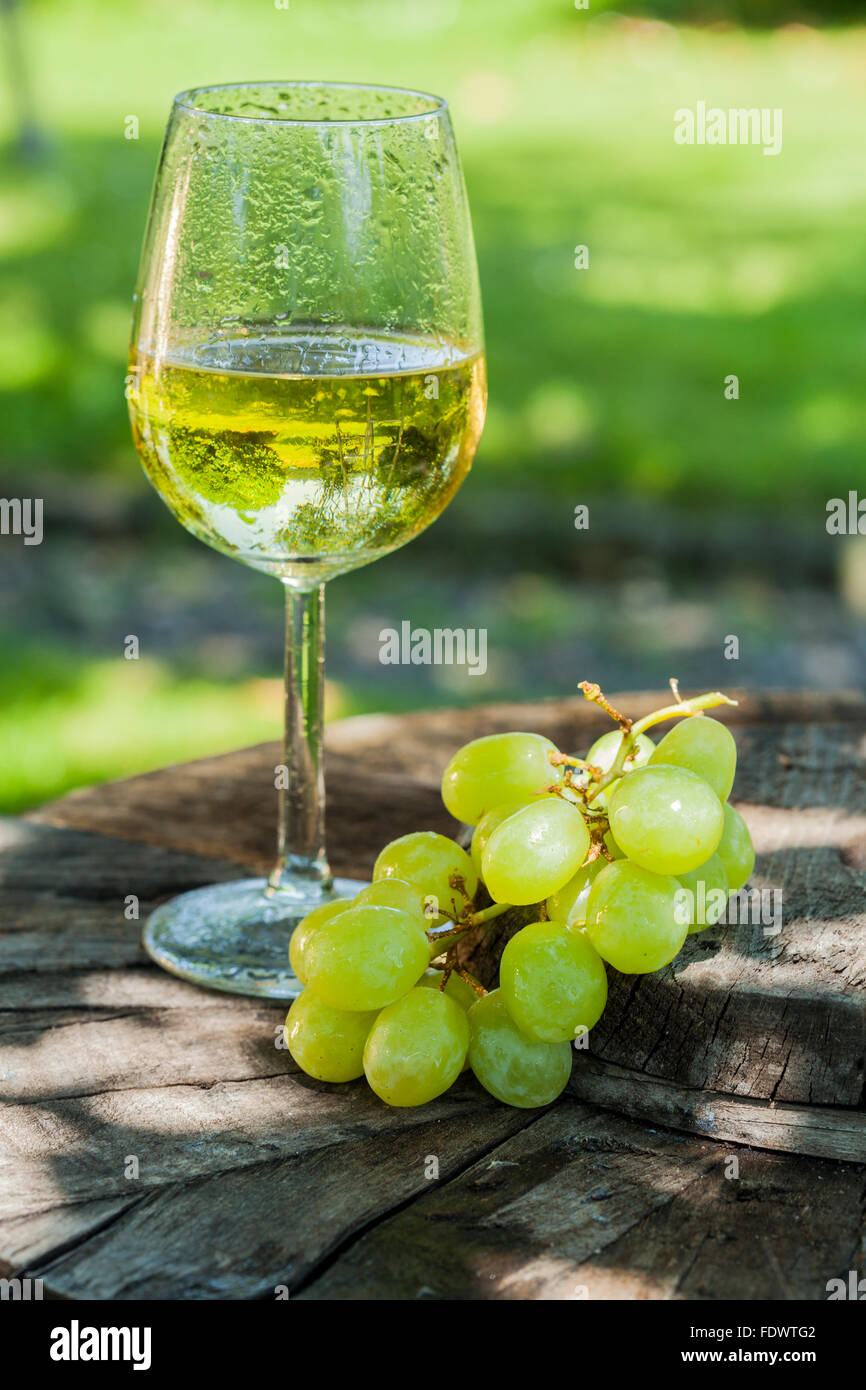 chilled-wine-in-garden-stock-photo-alamy