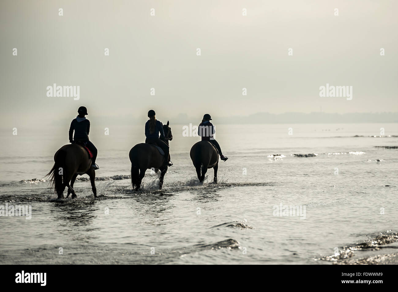 Silhouette of Riders at the beach riding horses Stock Photo - Alamy