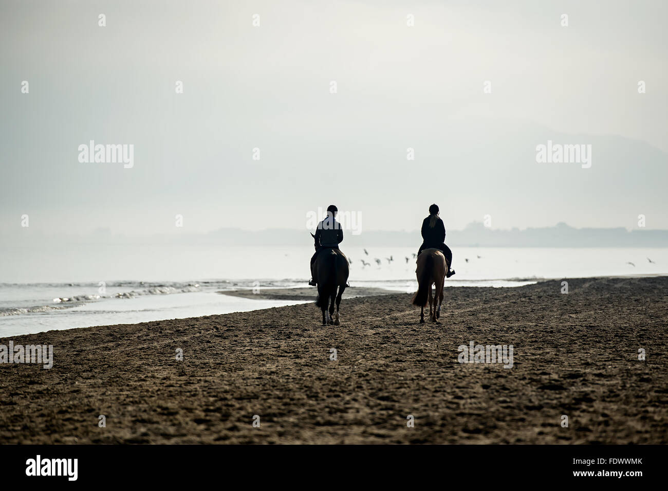 Silhouette of Riders at the beach riding horses Stock Photo - Alamy