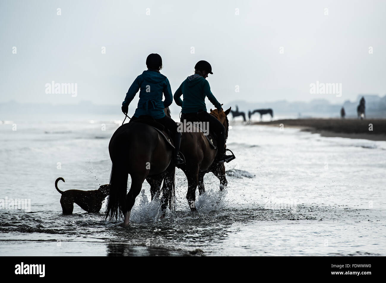 Silhouette of Riders at the beach riding horses Stock Photo - Alamy