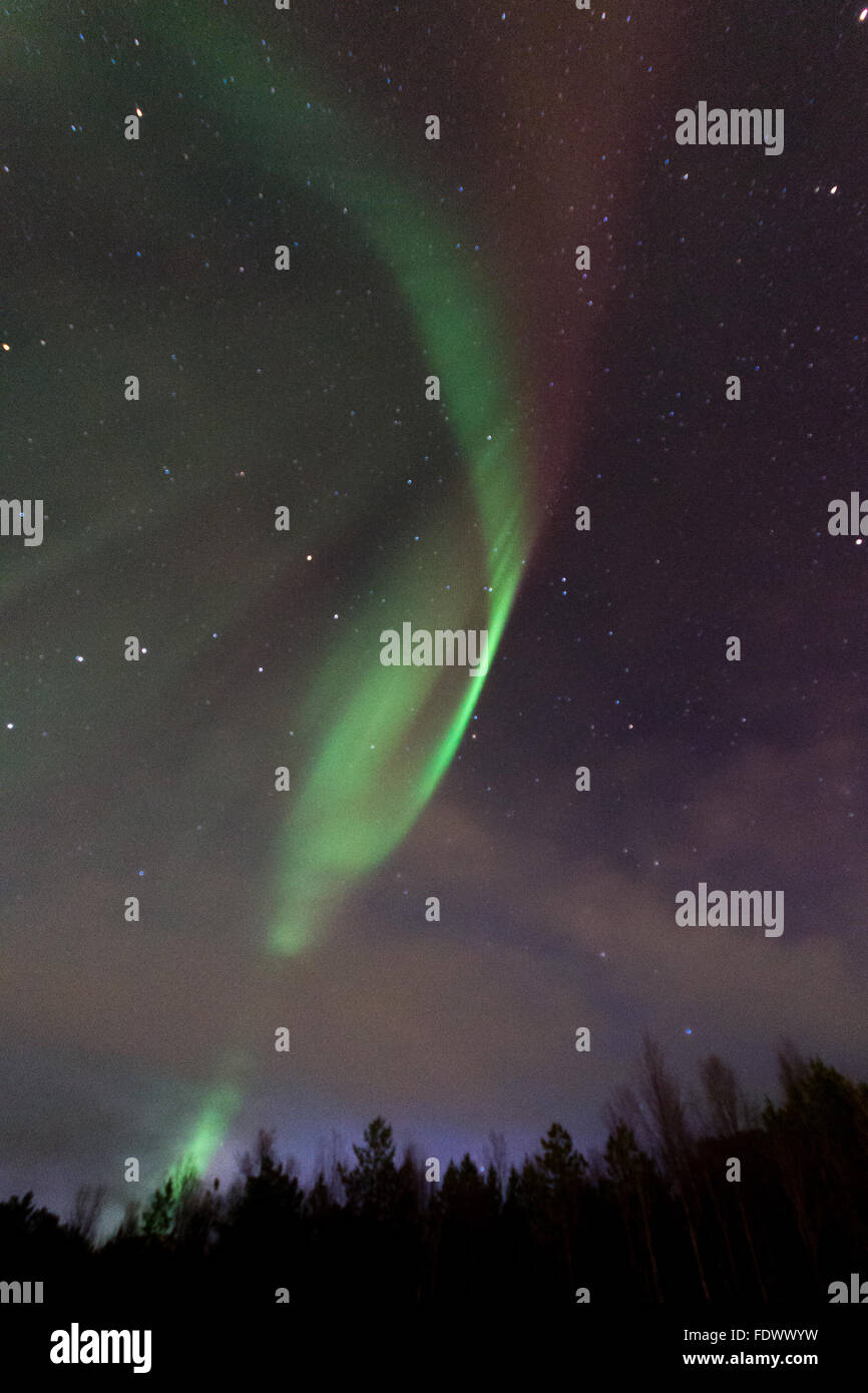 The Aurora Borealis - Northern lights dancing over Narvik In Norway ...