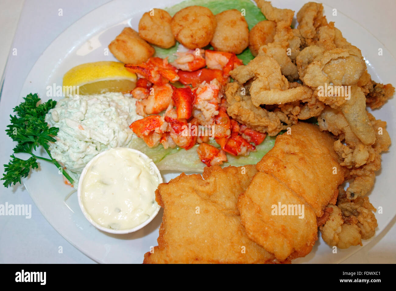 A seafood platter meal in a restaurant showing lobster, fried clams, fried scollops, fried haddock fish and coldslaw Stock Photo