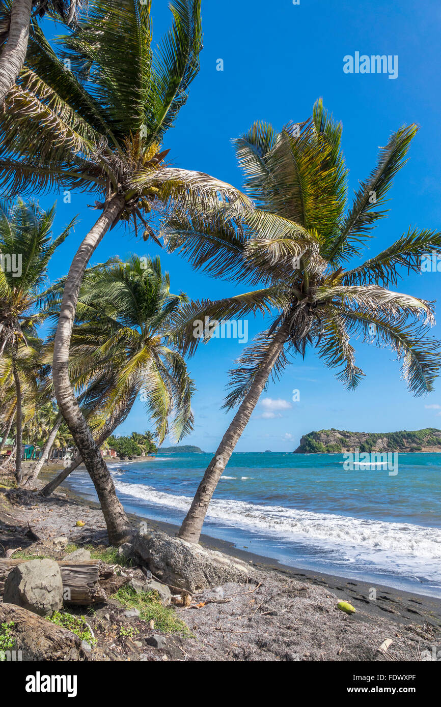 A Village On The Sea Grenada West Indies Stock Photo Alamy