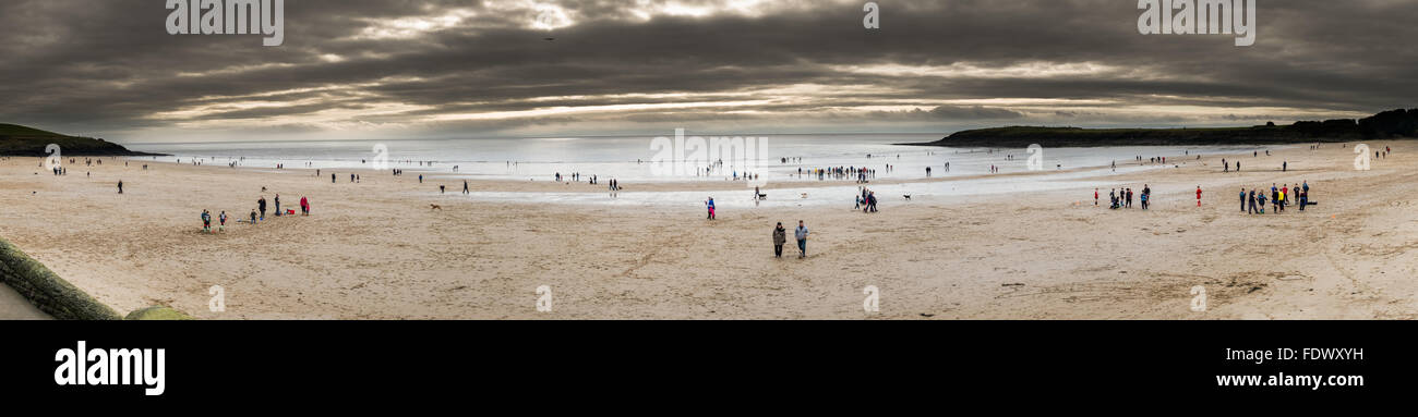A large multi stitch panoramic image of Barry Island out of season with circa 100 dogs on the beach. Stock Photo