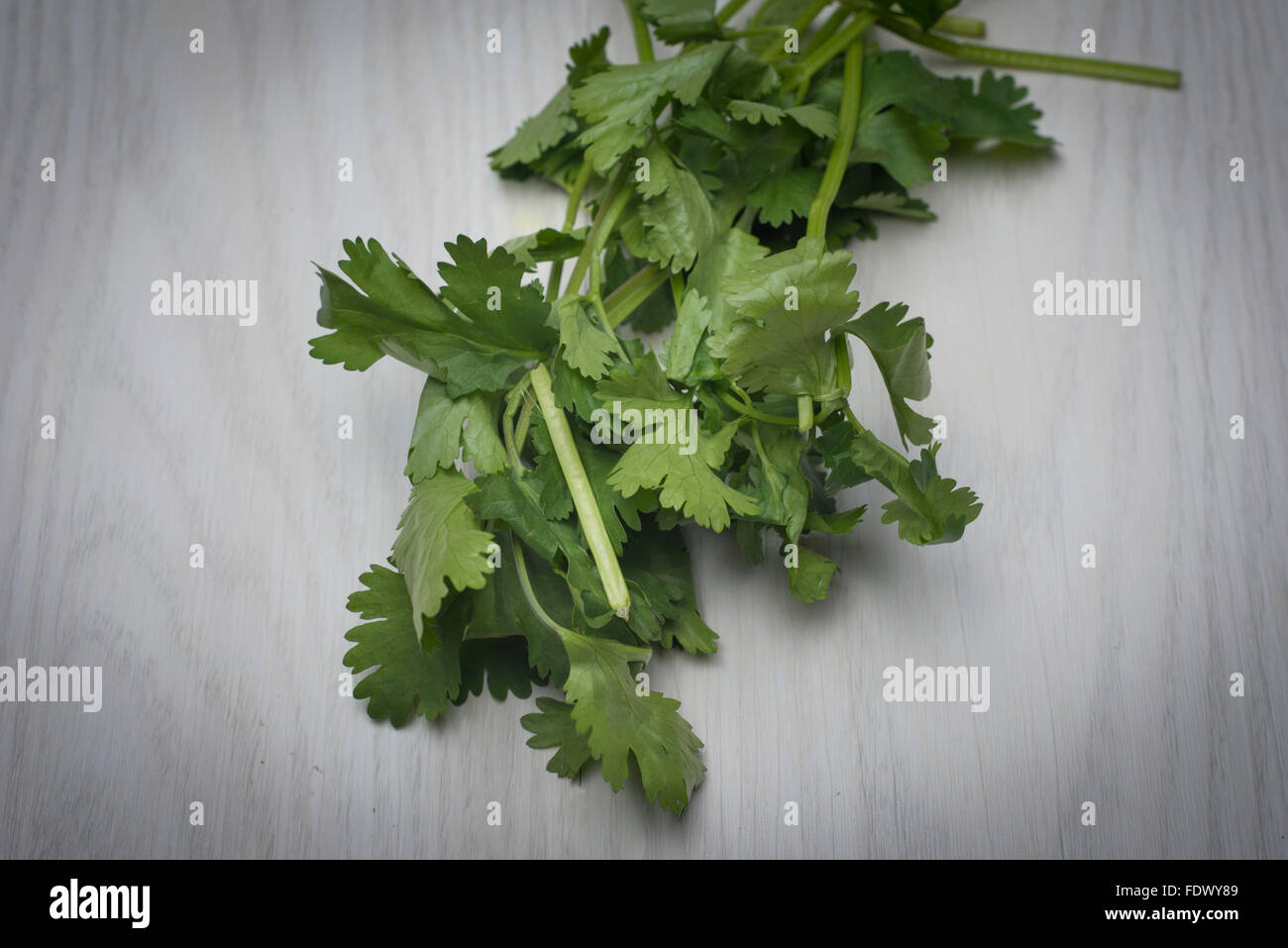 Coriander leaves hires stock photography and images Alamy