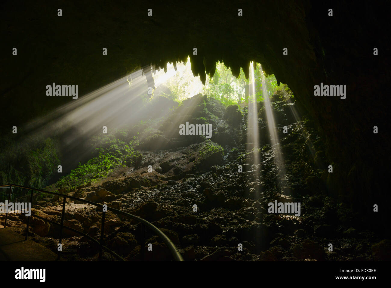 Stunning rays of light at the Camuy River Cave Park. PUERTO RICO - Caribbean Island. US territory. Stock Photo