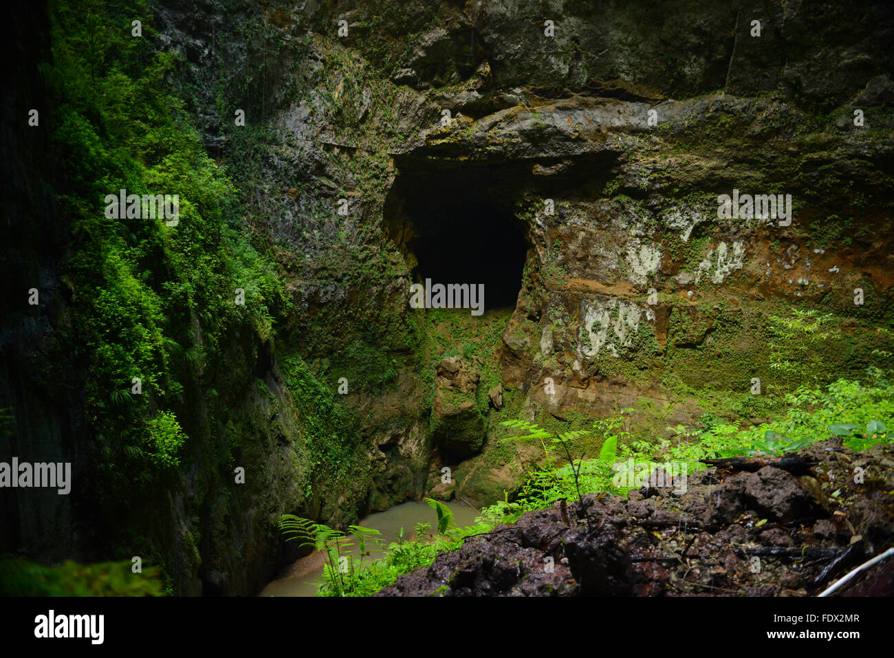 The Camuy River Cave Park. PUERTO RICO - Caribbean Island. US territory. Stock Photo