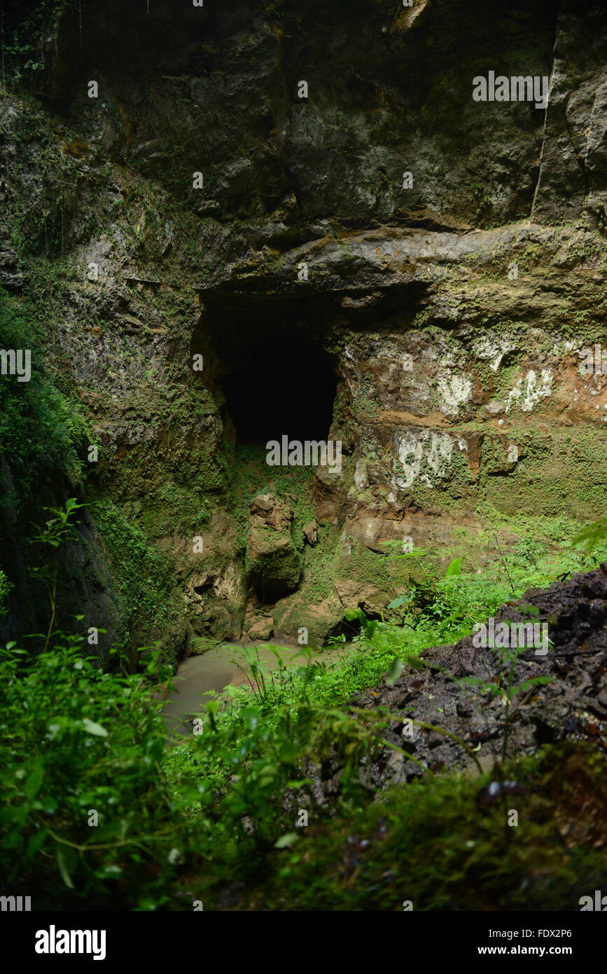 The Camuy River Cave Park. PUERTO RICO - Caribbean Island. US territory. Stock Photo