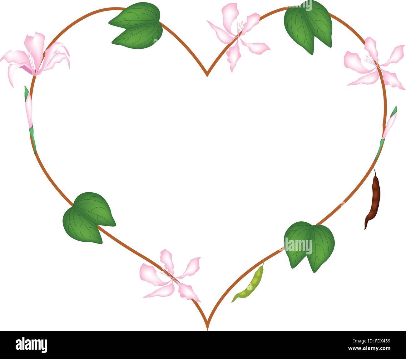 Love Concept, Illustration of Pink Bauhinia Purpurea Flowers Forming in Heart Shape Isolated on White Background. Stock Vector