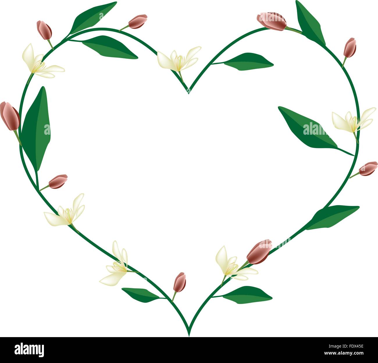 Love Concept, Illustration of Wine Magnolia Flowers or Magnolia Figo Flowers Forming in Heart Shape Isolated on White Background Stock Vector