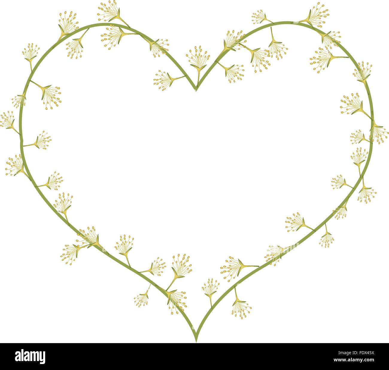 Love Concept, Illustration of White Combretum Flowers or Combretum Latifolium Flowers Forming in Heart Shape Isolated on White B Stock Vector