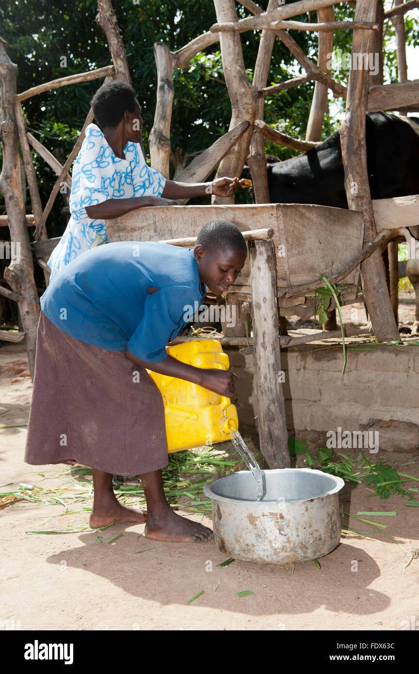 Girl Pouring Water African High Resolution Stock Photography and Images ...